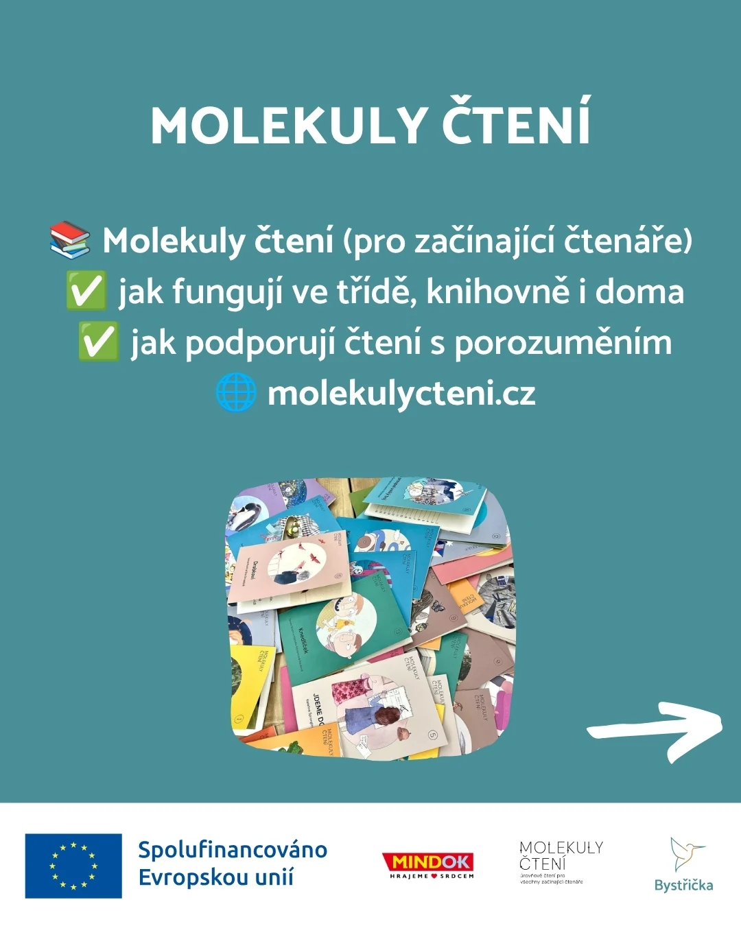 Molekuly čtení: čtení s porozuměním doma, ve třídě a v knihovně.